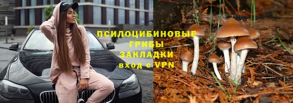 прущие крисы Касимов