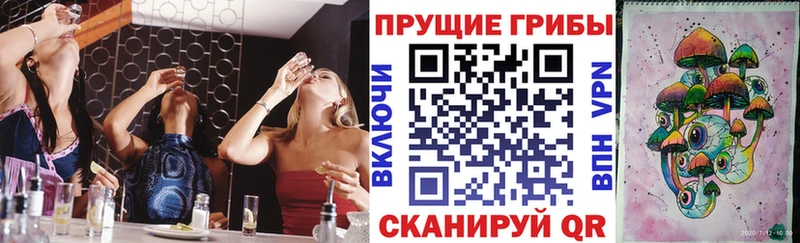кракен ONION Черепаново Псилоцибиновые грибы Psilocybine cubensis